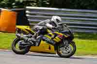 brands-hatch-photographs;brands-no-limits-trackday;cadwell-trackday-photographs;enduro-digital-images;event-digital-images;eventdigitalimages;no-limits-trackdays;peter-wileman-photography;racing-digital-images;trackday-digital-images;trackday-photos